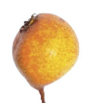 Accueil
